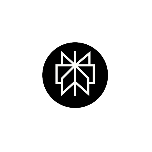 Perplexity AI Logo